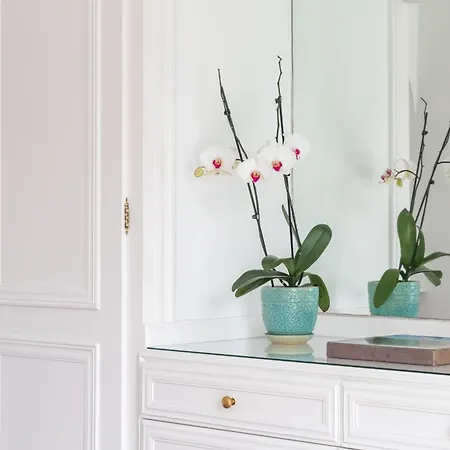 Aurora Boutique - Only Adults マルベーリャ