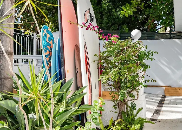 Aurora Boutique - Only Adults 4*